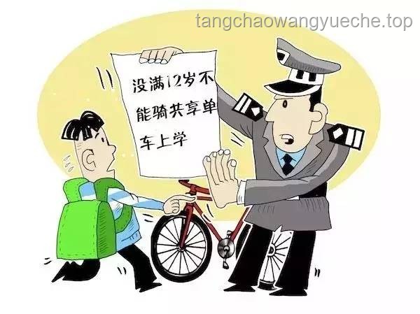**一大批华人父母返贫边缘现象与社会经济变迁对比分析**